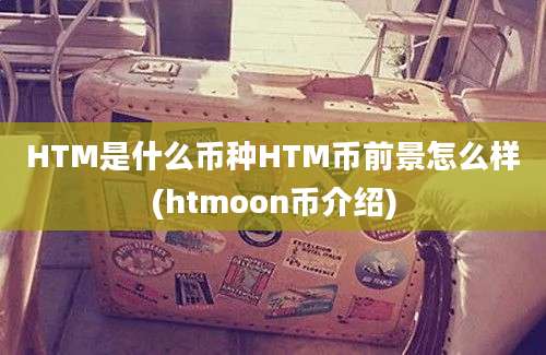 HTM是什么币种HTM币前景怎么样(htmoon币介绍)