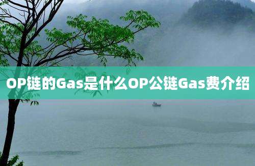 OP链的Gas是什么OP公链Gas费介绍