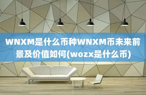 WNXM是什么币种WNXM币未来前景及价值如何(wozx是什么币)