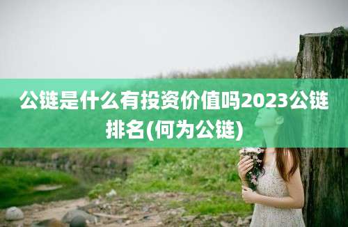 公链是什么有投资价值吗2023公链排名(何为公链)