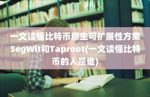 一文读懂比特币原生可扩展性方案SegWit和Taproot(一文读懂比特币的人是谁)