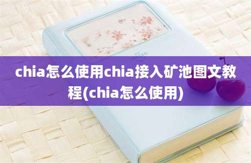 chia怎么使用chia接入矿池图文教程(chia怎么使用)