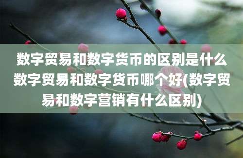 数字贸易和数字货币的区别是什么数字贸易和数字货币哪个好(数字贸易和数字营销有什么区别)