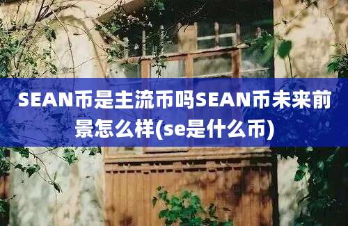 SEAN币是主流币吗SEAN币未来前景怎么样(se是什么币)