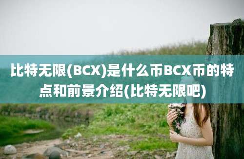 比特无限(BCX)是什么币BCX币的特点和前景介绍(比特无限吧)