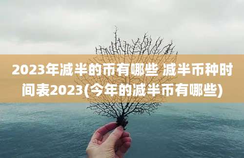 2023年减半的币有哪些 减半币种时间表2023(今年的减半币有哪些)