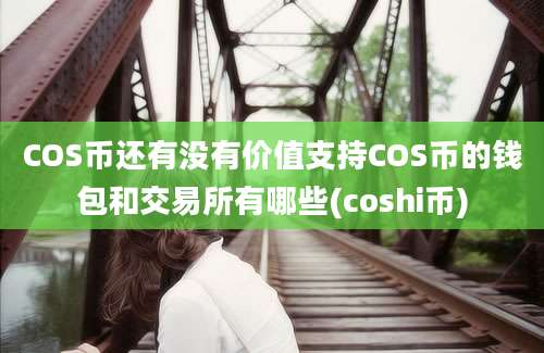 COS币还有没有价值支持COS币的钱包和交易所有哪些(coshi币)