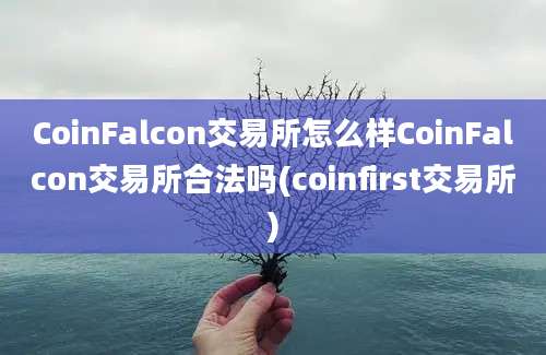 CoinFalcon交易所怎么样CoinFalcon交易所合法吗(coinfirst交易所)