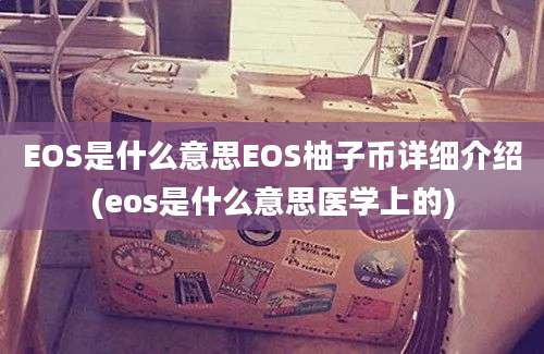 EOS是什么意思EOS柚子币详细介绍(eos是什么意思医学上的)