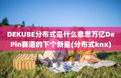 DEKUBE分布式是什么意思万亿DePin赛道的下个新星(分布式knx)