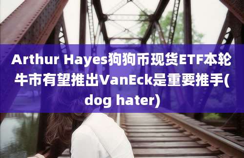 Arthur Hayes狗狗币现货ETF本轮牛市有望推出VanEck是重要推手(dog hater)