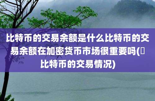 比特币的交易余额是什么比特币的交易余额在加密货币市场很重要吗(犇比特币的交易情况)