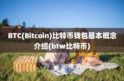 BTC(Bitcoin)比特币钱包基本概念介绍(btw比特币)