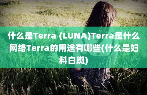 什么是Terra (LUNA)Terra是什么网络Terra的用途有哪些(什么是妇科白斑)