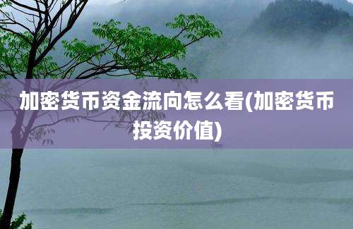 加密货币资金流向怎么看(加密货币投资价值)