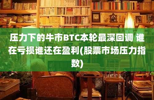 压力下的牛市BTC本轮最深回调 谁在亏损谁还在盈利(股票市场压力指数)