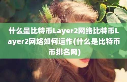 什么是比特币Layer2网络比特币Layer2网络如何运作(什么是比特币 币排名网)