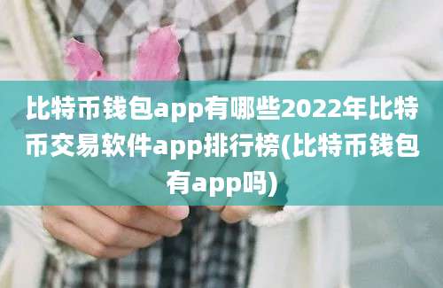 比特币钱包app有哪些2022年比特币交易软件app排行榜(比特币钱包有app吗)