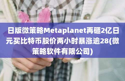 日版微策略Metaplanet再砸2亿日元买比特币股价两小时暴涨逾28(微策略软件有限公司)