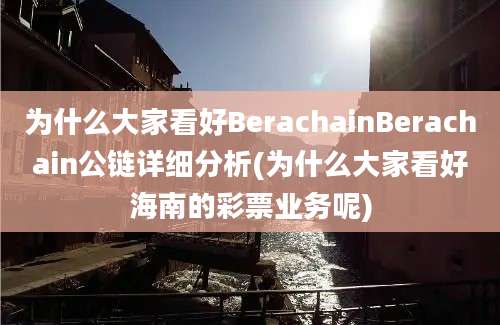 为什么大家看好BerachainBerachain公链详细分析(为什么大家看好海南的彩票业务呢)