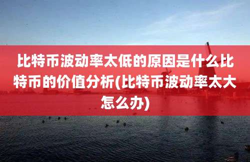 比特币波动率太低的原因是什么比特币的价值分析(比特币波动率太大怎么办)