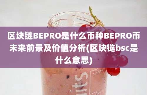 区块链BEPRO是什么币种BEPRO币未来前景及价值分析(区块链bsc是什么意思)