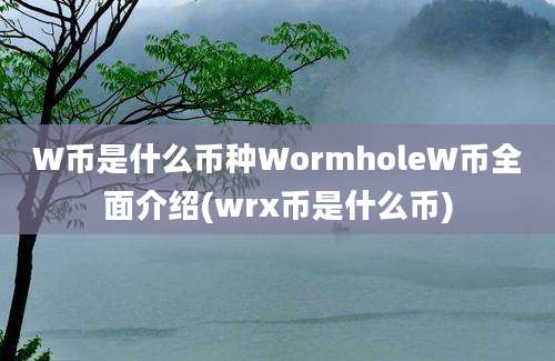 W币是什么币种WormholeW币全面介绍(wrx币是什么币)