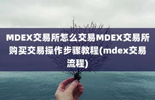 MDEX交易所怎么交易MDEX交易所购买交易操作步骤教程(mdex交易流程)