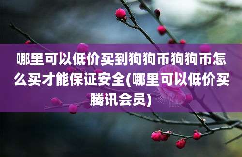 哪里可以低价买到狗狗币狗狗币怎么买才能保证安全(哪里可以低价买腾讯会员)