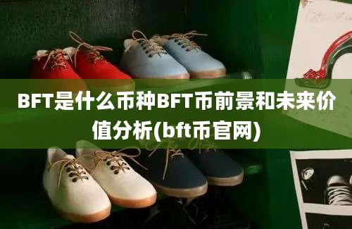 BFT是什么币种BFT币前景和未来价值分析(bft币官网)