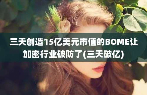 三天创造15亿美元市值的BOME让加密行业破防了(三天破亿)