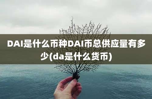 DAI是什么币种DAI币总供应量有多少(da是什么货币)