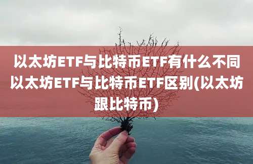 以太坊ETF与比特币ETF有什么不同以太坊ETF与比特币ETF区别(以太坊跟比特币)