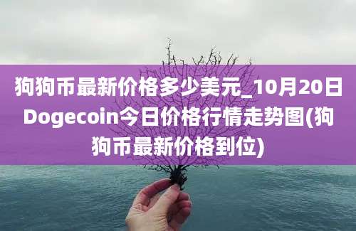 狗狗币最新价格多少美元_10月20日Dogecoin今日价格行情走势图(狗狗币最新价格到位)