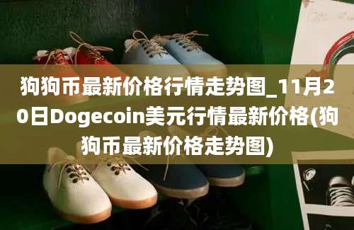 狗狗币最新价格行情走势图_11月20日Dogecoin美元行情最新价格(狗狗币最新价格走势图)