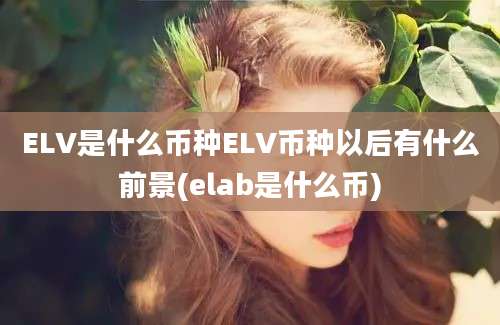 ELV是什么币种ELV币种以后有什么前景(elab是什么币)