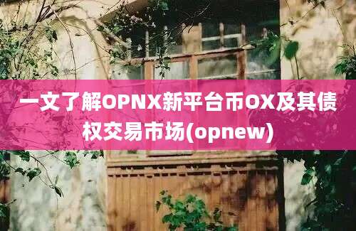 一文了解OPNX新平台币OX及其债权交易市场(opnew)