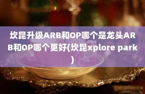 坎昆升级ARB和OP哪个是龙头ARB和OP哪个更好(坎昆xplore park)