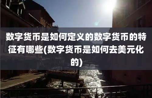 数字货币是如何定义的数字货币的特征有哪些(数字货币是如何去美元化的)