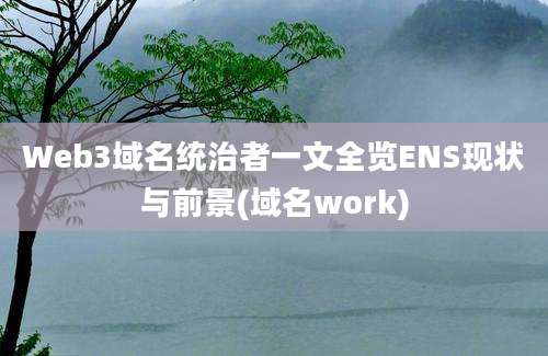 Web3域名统治者一文全览ENS现状与前景(域名work)