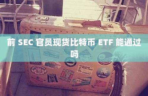 前 SEC 官员现货比特币 ETF 能通过吗