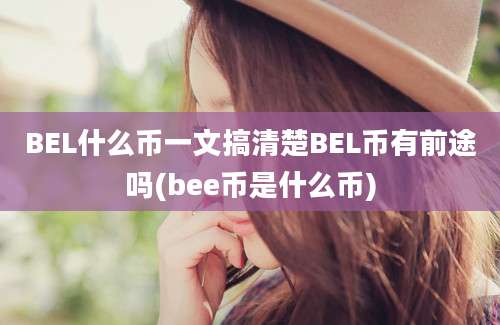 BEL什么币一文搞清楚BEL币有前途吗(bee币是什么币)