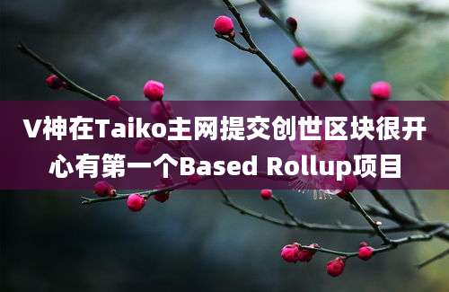 V神在Taiko主网提交创世区块很开心有第一个Based Rollup项目