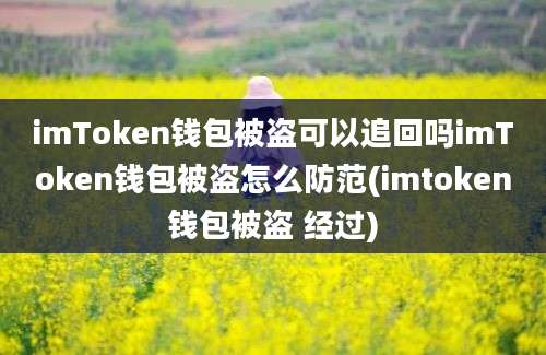 imToken钱包被盗可以追回吗imToken钱包被盗怎么防范(imtoken钱包被盗 经过)