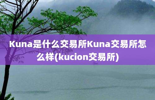 Kuna是什么交易所Kuna交易所怎么样(kucion交易所)