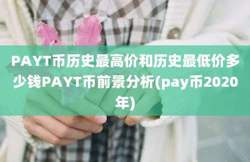 PAYT币历史最高价和历史最低价多少钱PAYT币前景分析(pay币2020年)