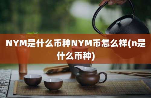 NYM是什么币种NYM币怎么样(n是什么币种)