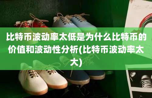 比特币波动率太低是为什么比特币的价值和波动性分析(比特币波动率太大)