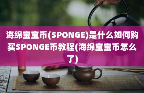 海绵宝宝币(SPONGE)是什么如何购买SPONGE币教程(海绵宝宝币怎么了)