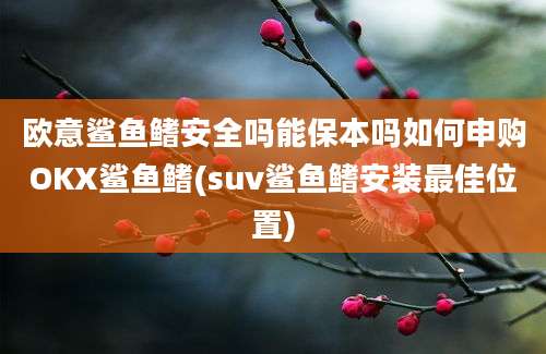 欧意鲨鱼鳍安全吗能保本吗如何申购OKX鲨鱼鳍(suv鲨鱼鳍安装最佳位置)